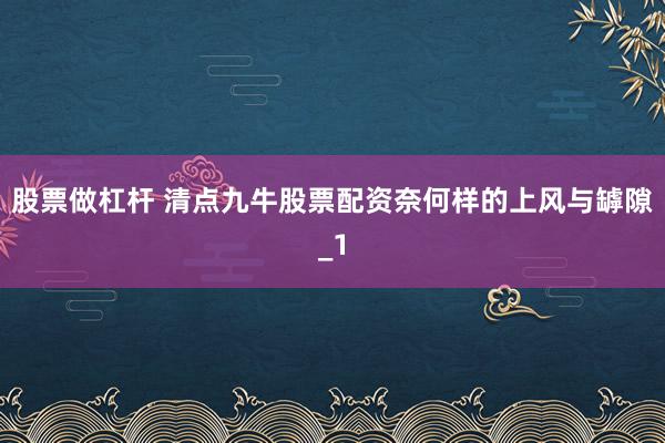 股票做杠杆 清点九牛股票配资奈何样的上风与罅隙_1