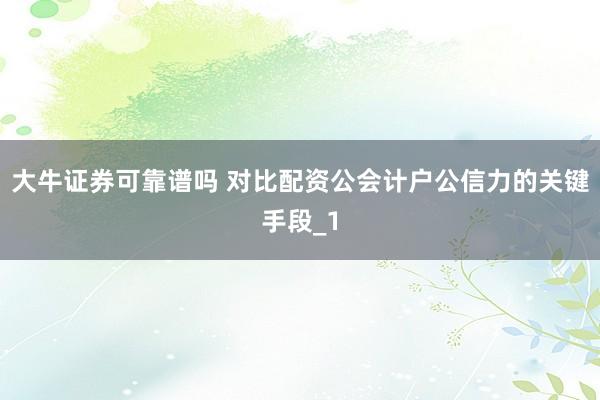 大牛证券可靠谱吗 对比配资公会计户公信力的关键手段_1
