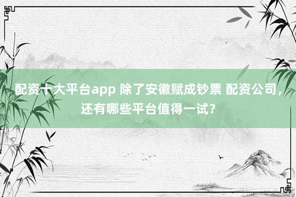 配资十大平台app 除了安徽赋成钞票 配资公司，还有哪些平台值得一试？