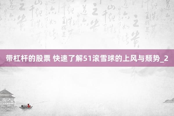 带杠杆的股票 快速了解51滚雪球的上风与颓势_2