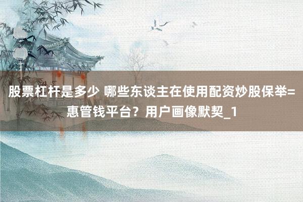 股票杠杆是多少 哪些东谈主在使用配资炒股保举=惠管钱平台？用户画像默契_1