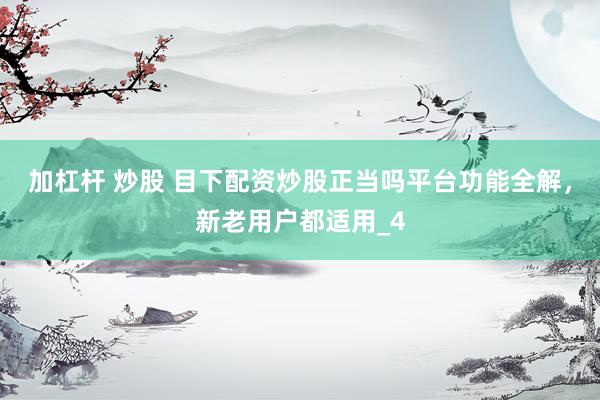 加杠杆 炒股 目下配资炒股正当吗平台功能全解，新老用户都适用_4