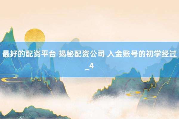 最好的配资平台 揭秘配资公司 入金账号的初学经过_4