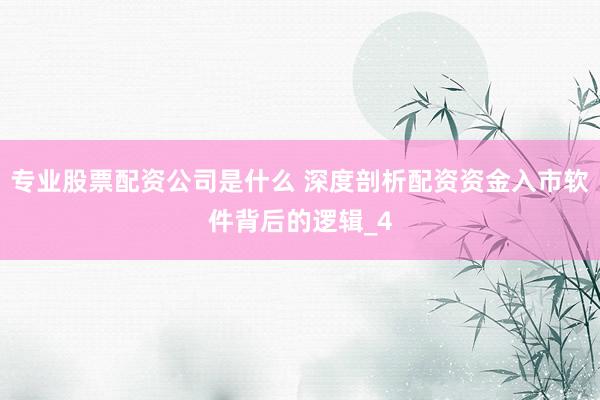 专业股票配资公司是什么 深度剖析配资资金入市软件背后的逻辑_4