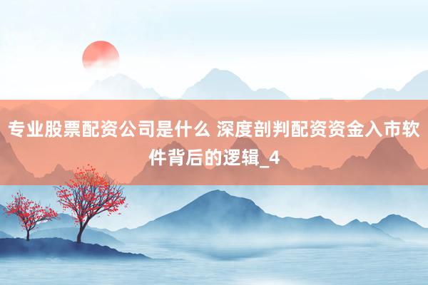 专业股票配资公司是什么 深度剖判配资资金入市软件背后的逻辑_4