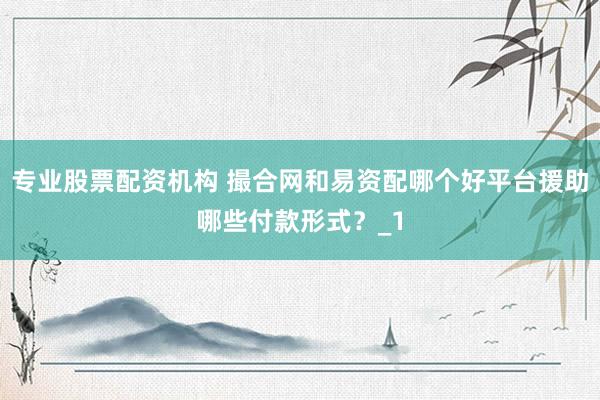 专业股票配资机构 撮合网和易资配哪个好平台援助哪些付款形式？_1