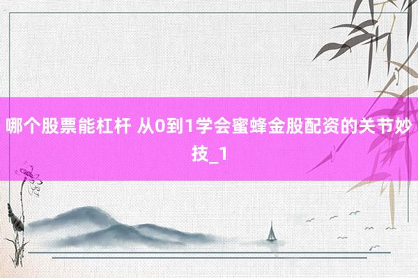 哪个股票能杠杆 从0到1学会蜜蜂金股配资的关节妙技_1