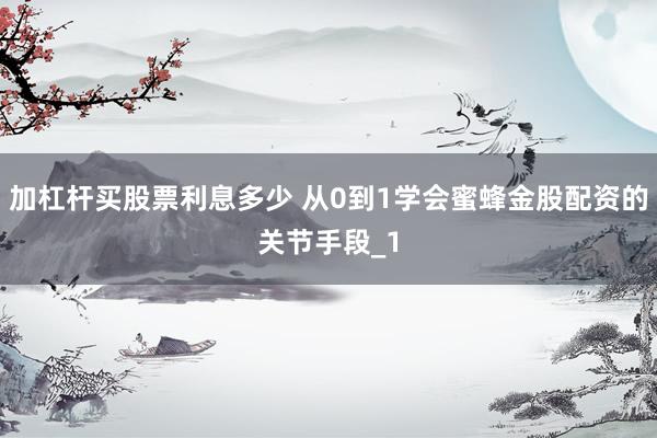 加杠杆买股票利息多少 从0到1学会蜜蜂金股配资的关节手段_1