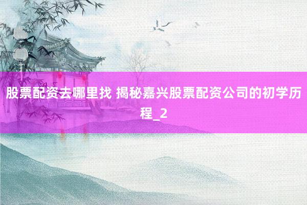 股票配资去哪里找 揭秘嘉兴股票配资公司的初学历程_2
