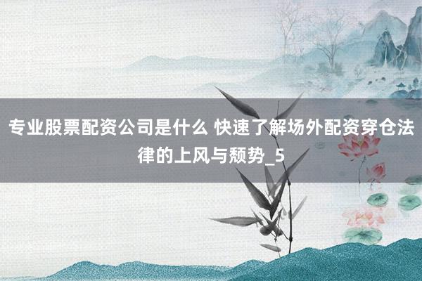 专业股票配资公司是什么 快速了解场外配资穿仓法律的上风与颓势_5