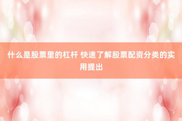 什么是股票里的杠杆 快速了解股票配资分类的实用提出