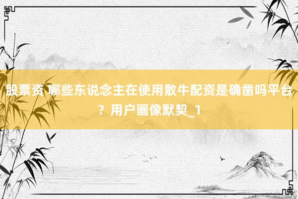 股票资 哪些东说念主在使用散牛配资是确凿吗平台？用户画像默契_1