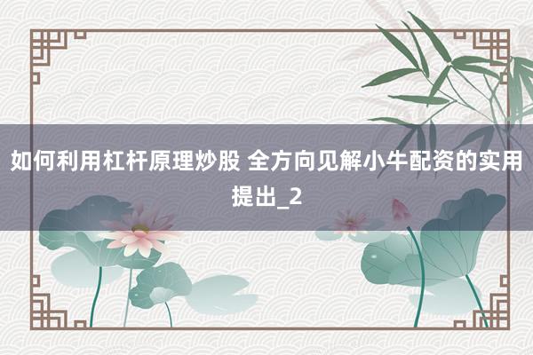 如何利用杠杆原理炒股 全方向见解小牛配资的实用提出_2