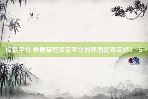 操盘平台 神盾猫配资宝平台的界面是否友好？_5