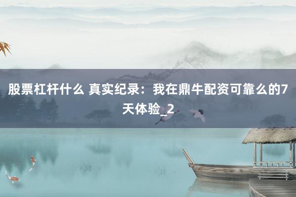 股票杠杆什么 真实纪录：我在鼎牛配资可靠么的7天体验_2