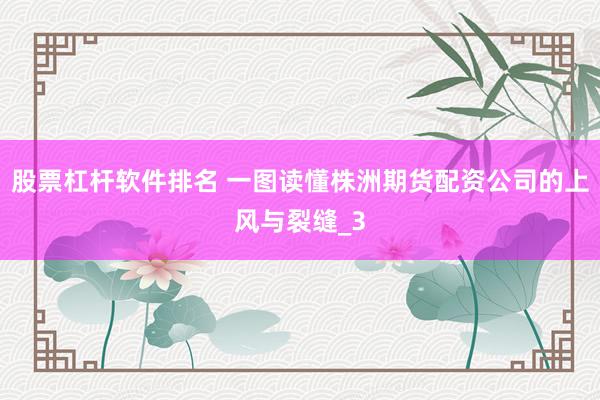 股票杠杆软件排名 一图读懂株洲期货配资公司的上风与裂缝_3