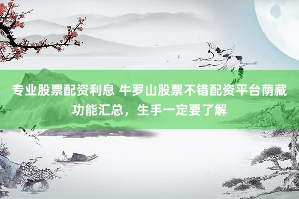 专业股票配资利息 牛罗山股票不错配资平台荫藏功能汇总，生手一定要了解