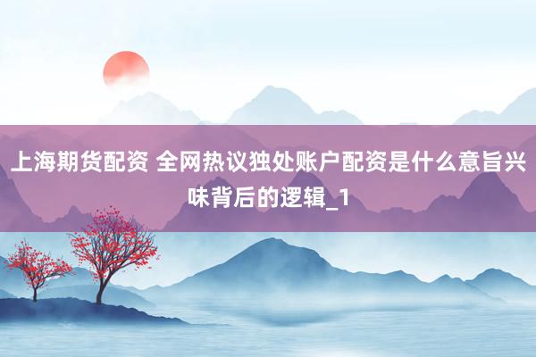 上海期货配资 全网热议独处账户配资是什么意旨兴味背后的逻辑_1