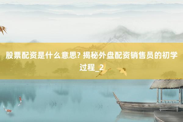 股票配资是什么意思? 揭秘外盘配资销售员的初学过程_2