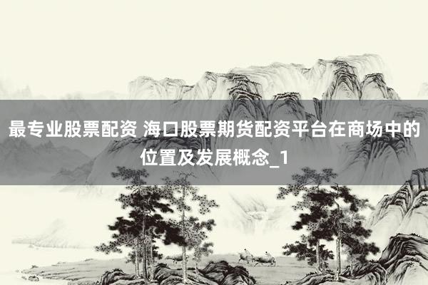 最专业股票配资 海口股票期货配资平台在商场中的位置及发展概念_1
