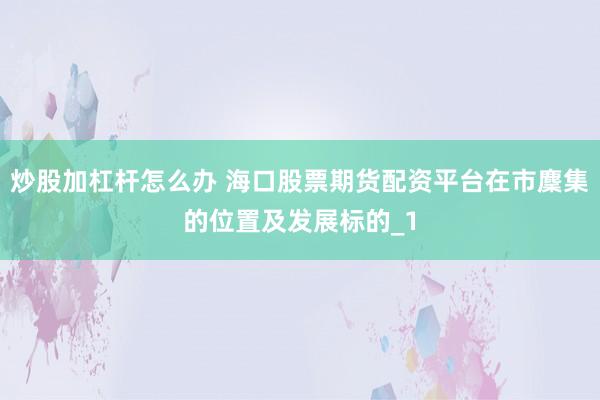 炒股加杠杆怎么办 海口股票期货配资平台在市麇集的位置及发展标的_1
