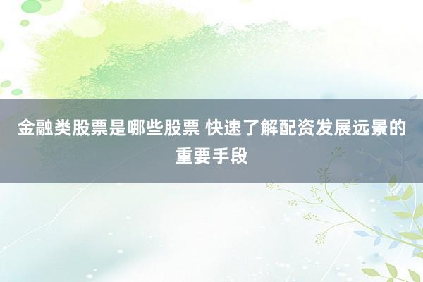 金融类股票是哪些股票 快速了解配资发展远景的重要手段