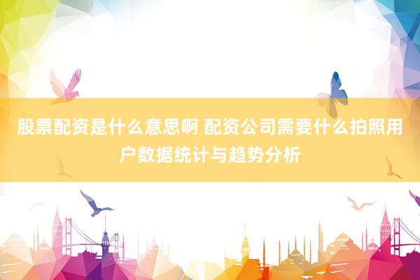 股票配资是什么意思啊 配资公司需要什么拍照用户数据统计与趋势分析
