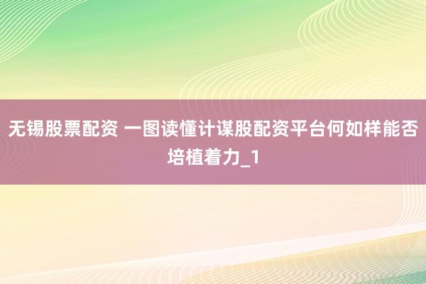 无锡股票配资 一图读懂计谋股配资平台何如样能否培植着力_1